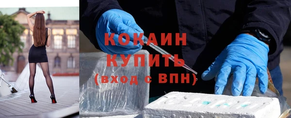 сатива Армянск