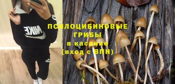ECSTASY Аркадак