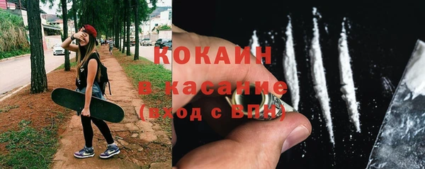 сатива Армянск