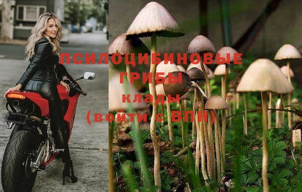 марихуана Арсеньев